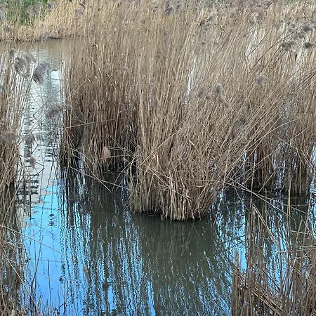 Przytulne Mieszkanie Cosy Apartamento Gdansk