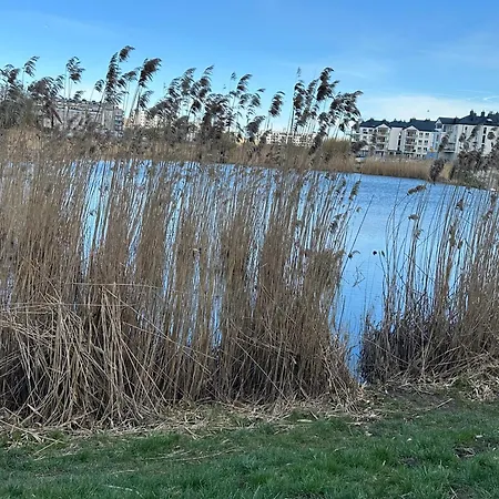 Apartment Przytulne Mieszkanie Cosy