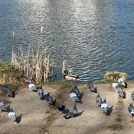 Przytulne Mieszkanie Cosy Gdaňsk