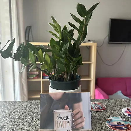 Appartement Przytulne Mieszkanie Cosy Gdańsk
