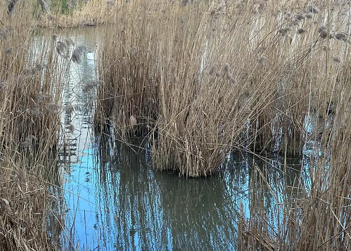 Przytulne Mieszkanie Cosy Lejlighed Gdańsk