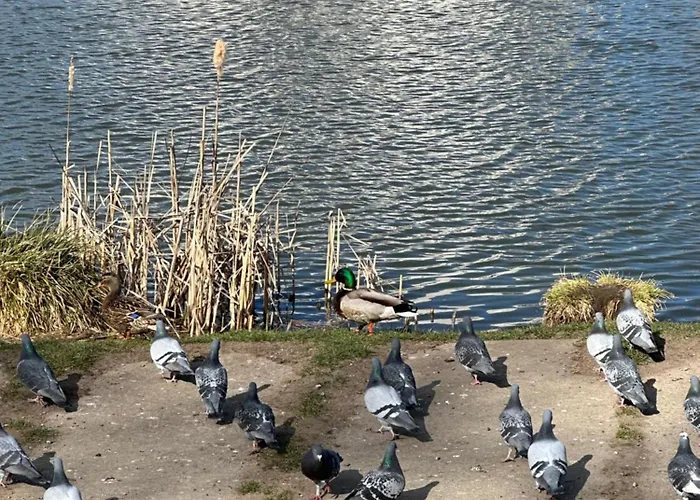 Przytulne Mieszkanie Cosy Gdańsk