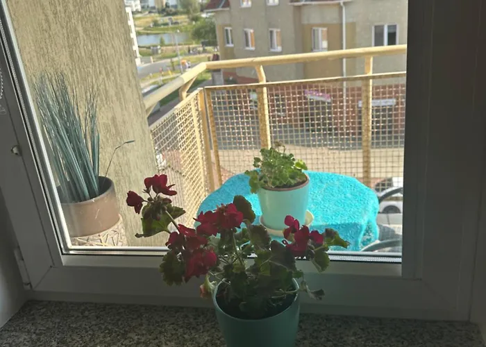 Przytulne Mieszkanie Cosy